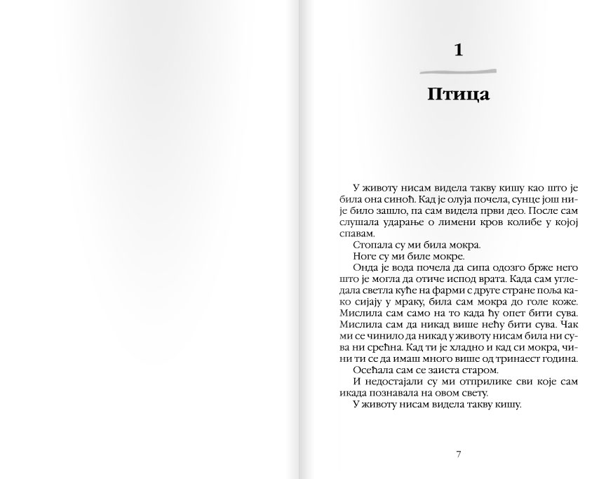 Ptica - dodatni pogled