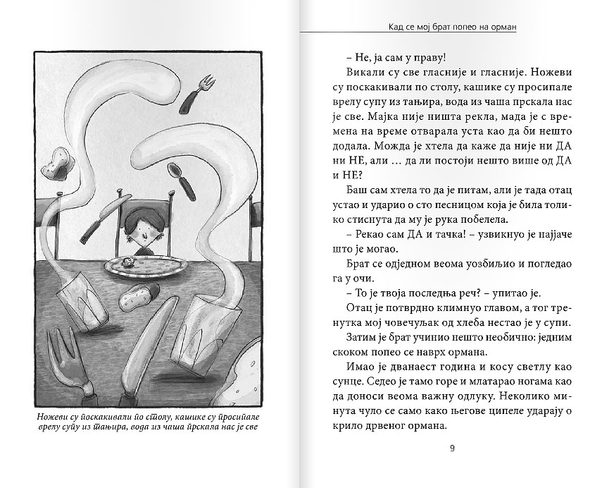 Kad se moj brat popeo na orman - dodatni pogled