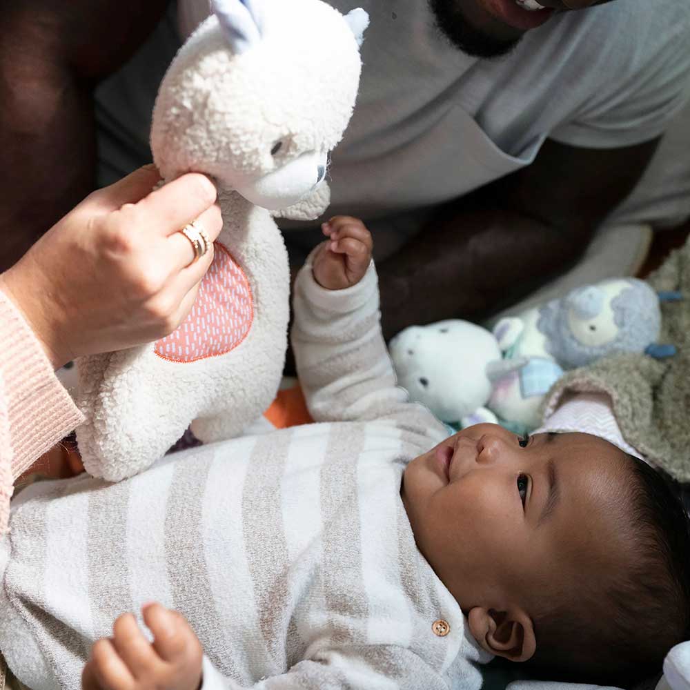 Plišana igračka za bebe sa zrnastim punjenjem Meda Nate Ingenuity™ 12379 - dodatni pogled