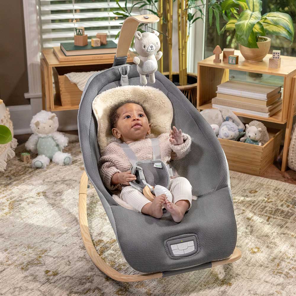 Njihalica za bebe i decu do 18kg Every Season grey Ingenuity™ 16855 - dodatni pogled