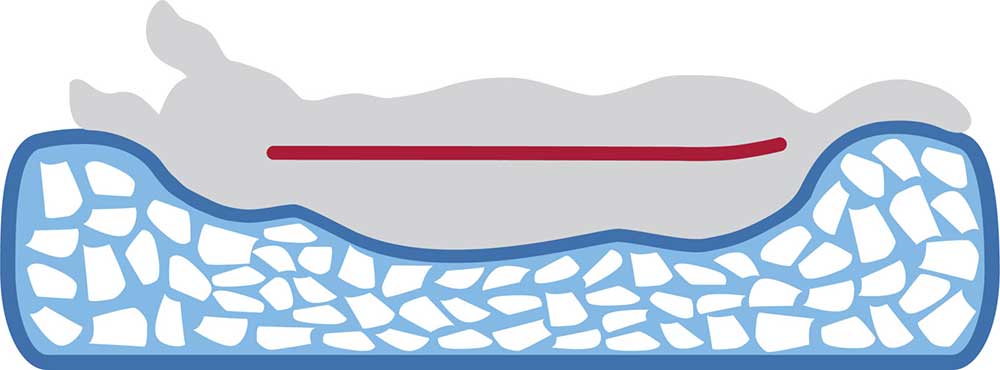 Ortopedski jastuk za velike pse 120cm Bendson Vital Trixie 38262 - dodatni pogled