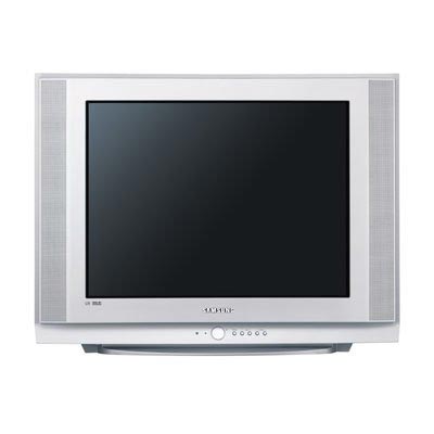 Samsung televizor SW-29Z404NT - 74 cm - dodatni pogled