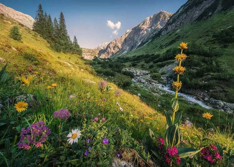 Puzzle 1000 delova Čarobno lepa dolina Ravensburger 12000484
