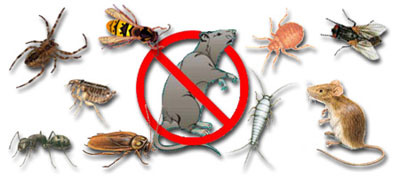 Rasterivač Štetočina XJ-92 Green Protect  - dodatni pogled