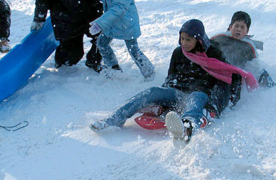 Bob (291520) - dodatni pogled