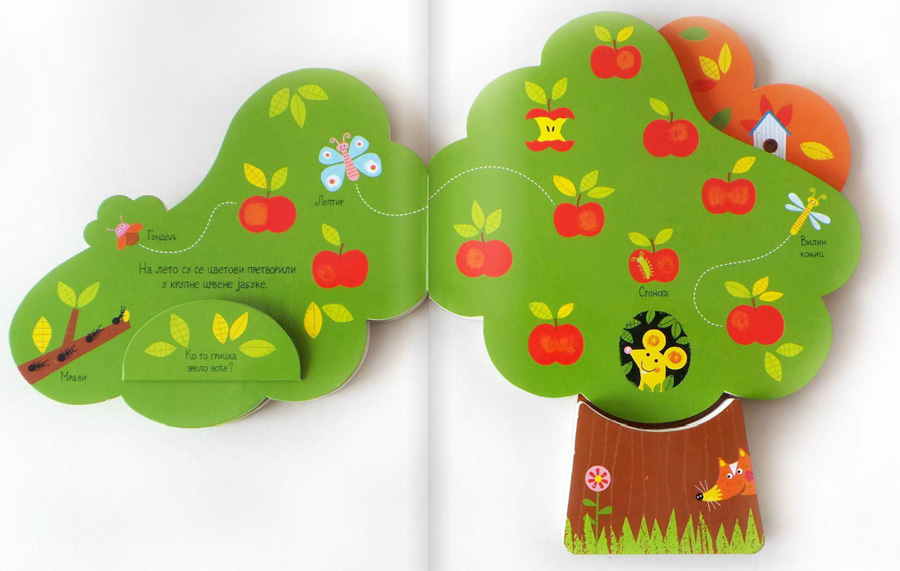 Drvo i četiri godišnja doba - dodatni pogled