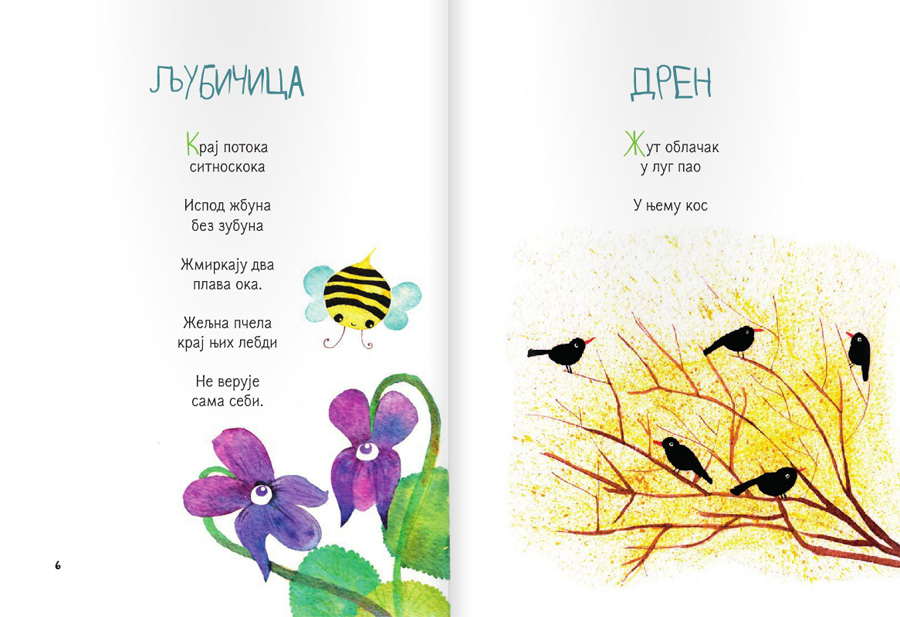 Sunčeva deca: pesme o cveću - dodatni pogled