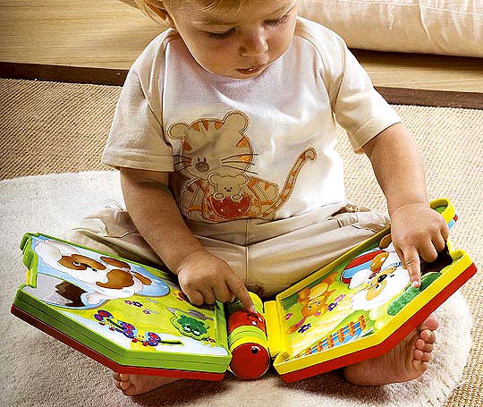 Chicco knjiga Kuca 71409 - dodatni pogled