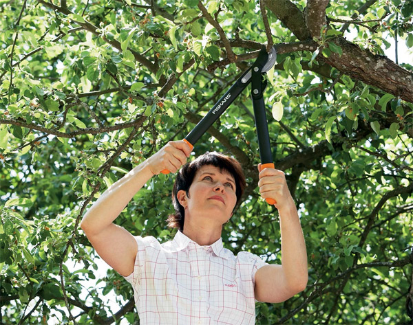 Makaze za grane Fiskars 112200 012798 - dodatni pogled