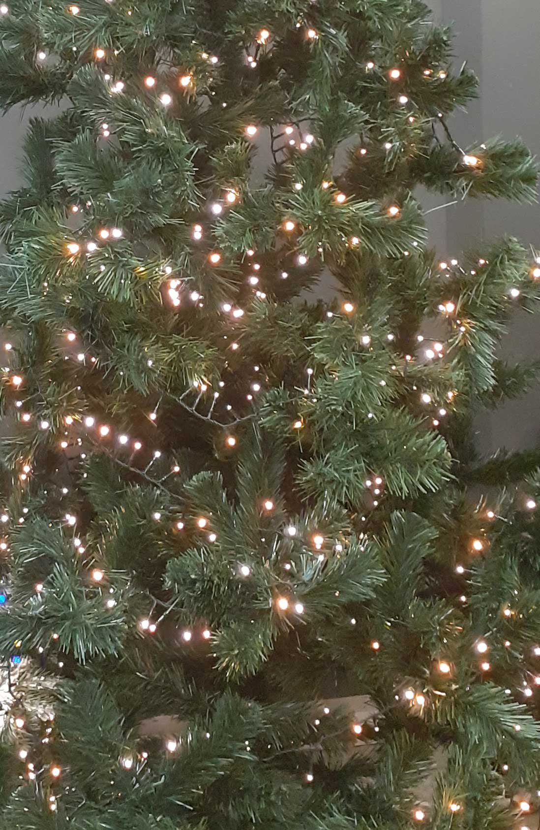 Jelka Foil Green Calgary 220 cm Bez Lampica - dodatni pogled