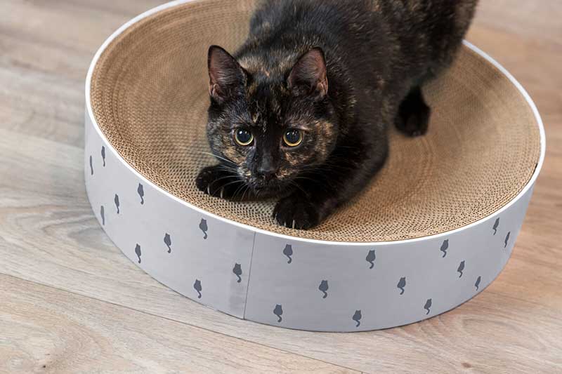 Kružna kartonska grebalica za mačke 45cm Lilly Trixie 48014 - dodatni pogled