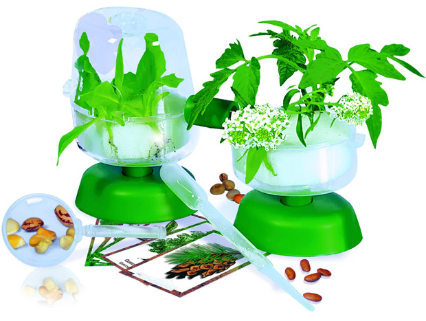 Edukativni set Botanika Clementoni Galileo 69826 28748 - dodatni pogled