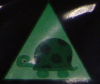 Startonight dečija magična slika koja svetli u mraku Kornjača FTR012 - dodatni pogled