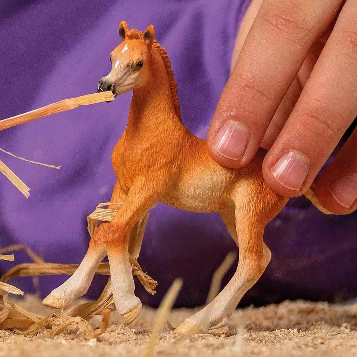 Schleich figure Domaće životinje Konji - Arapsko ždrebe 13984