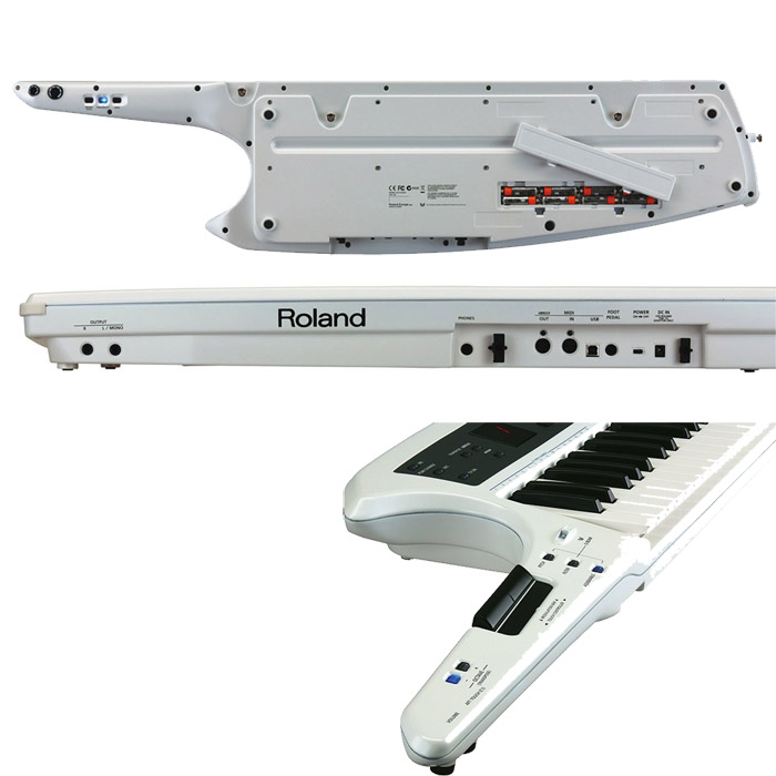 Sintisajzer Roland AX-Synth WH Show 702030 - dodatni pogled