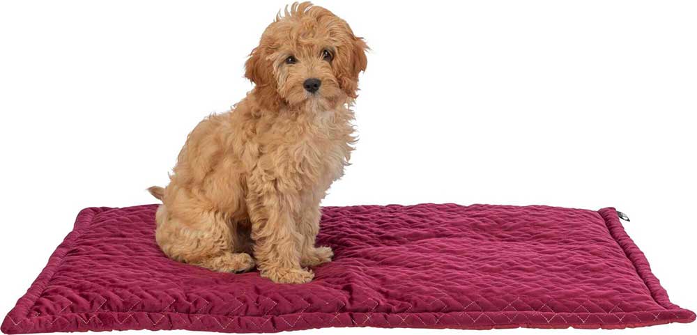 Prostirka za pse 90x60cm Natalya bordeaux 92372 - dodatni pogled