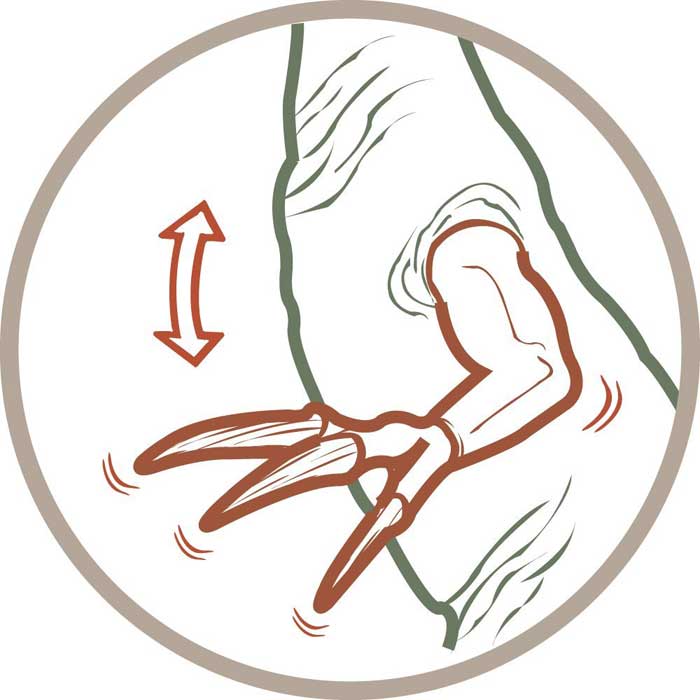 Schleich Praistorijske životinje - Therizinosaurus 14529 - dodatni pogled