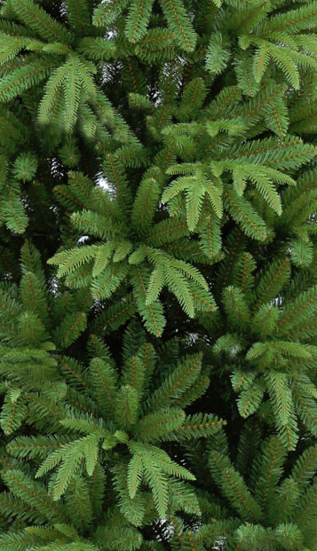 Novogodišnja Jelka Mediterraneo 2D i 3D Iglice 210 cm - dodatni pogled