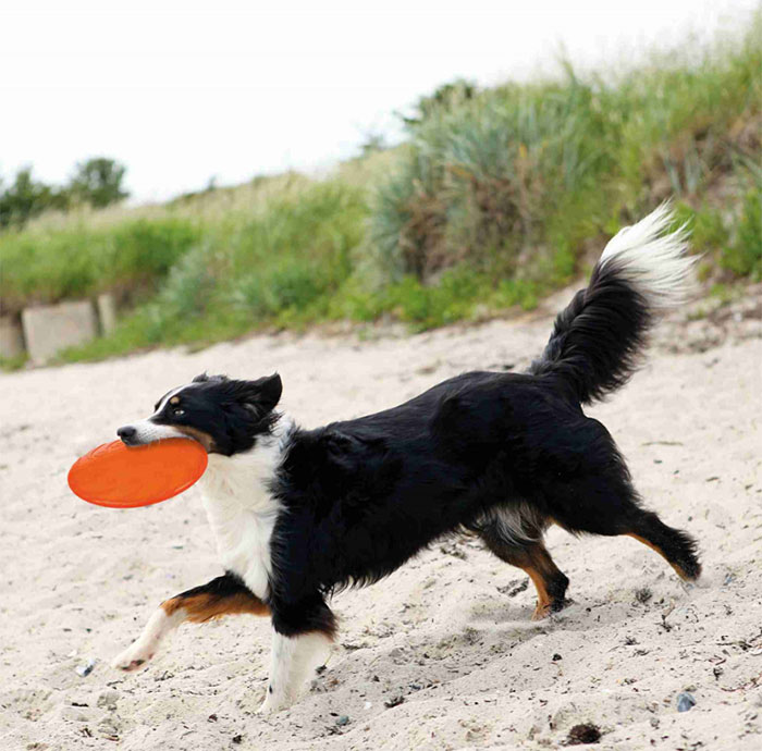 Igračka za pse Frizbi 22cm Trixie 33506 - dodatni pogled