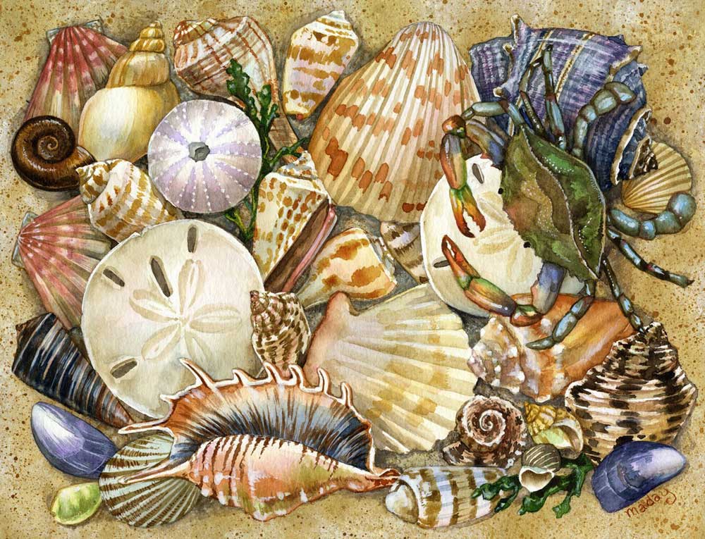 Ravensburger slagalica Beautiful Shells 500 delova 01-141159 - dodatni pogled