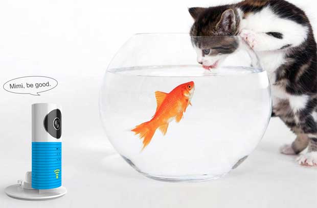 Bežična Smart WiFi kamera za nadzor preko telefona Clever Dog 1WG 025600 - dodatni pogled