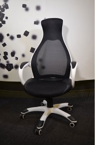 Radna Anatomska Stolica Executive 19 - dodatni pogled