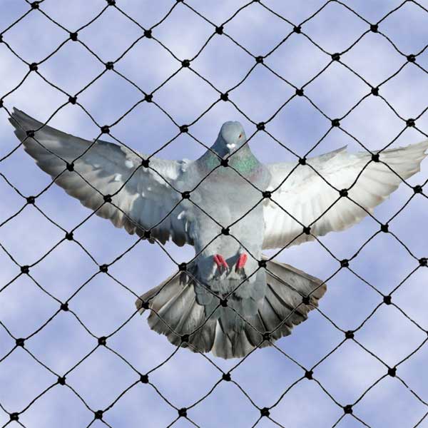 Mreža za ogradu Tenax 2m x 20m - dodatni pogled