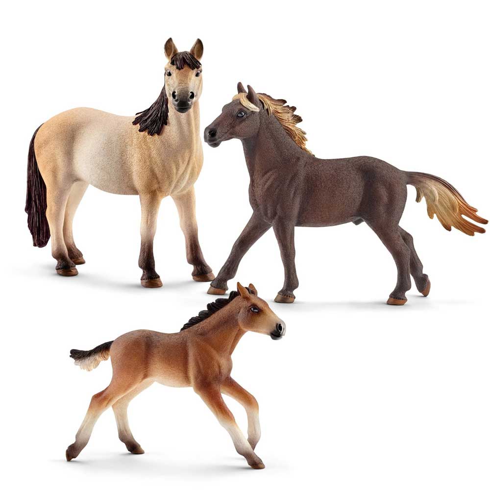 Schleich Domaće životinje - Mustang konj - ždrebe - dodatni pogled