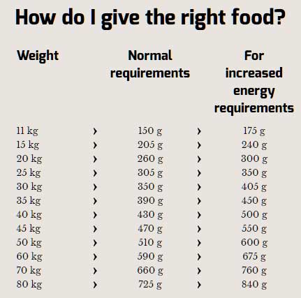 Hrana za pse Happy Dog Supreme Sensible Africa 1kg - dodatni pogled