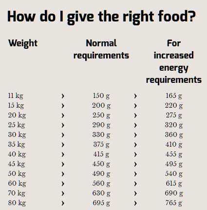 Hrana za pse Happy Dog Supreme Sensible Irland 1kg - dodatni pogled