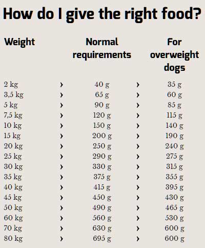 Hrana za pse Happy Dog Supreme Sensible Toscana 4kg - dodatni pogled