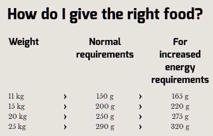 Hrana za pse Happy Dog Supreme Fit n Well Medium Adult 4kg - dodatni pogled