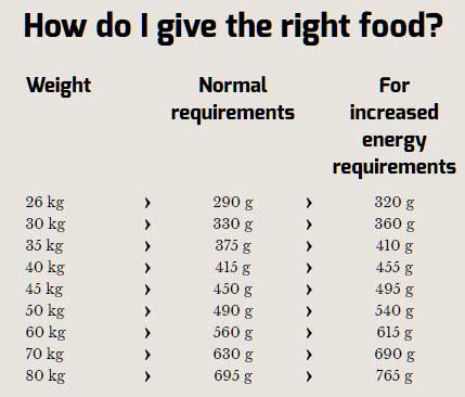 Hrana za pse Happy Dog Supreme Fit n Well Maxi Adult 15kg - dodatni pogled