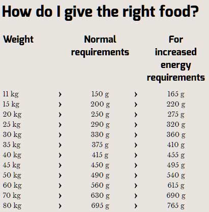 Hrana za pse Happy Dog Supreme Fit And Well Sport Adult 4kg - dodatni pogled