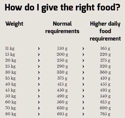 Hrana za pse Happy Dog Supreme Fit n Well Senior 1kg - dodatni pogled