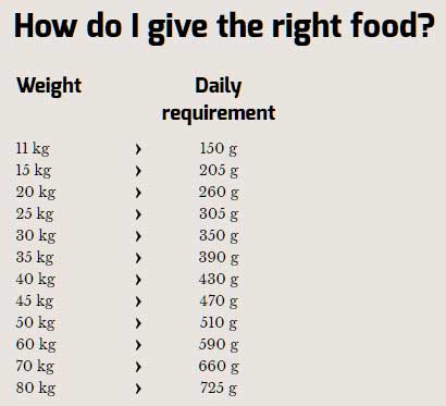 Dijetalna hrana za pse Happy Dog Supreme Fit n Well Light-1  pak. 12,5kg + 2kg GRATIS - dodatni pogled