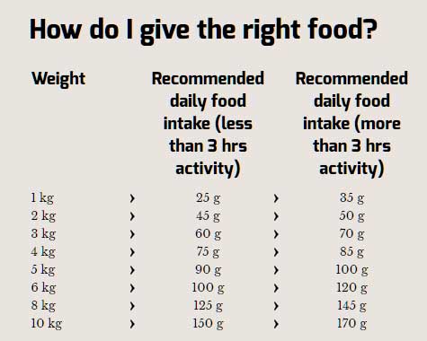 Hrana za pse Happy Dog Supreme Mini Canada 1kg - dodatni pogled