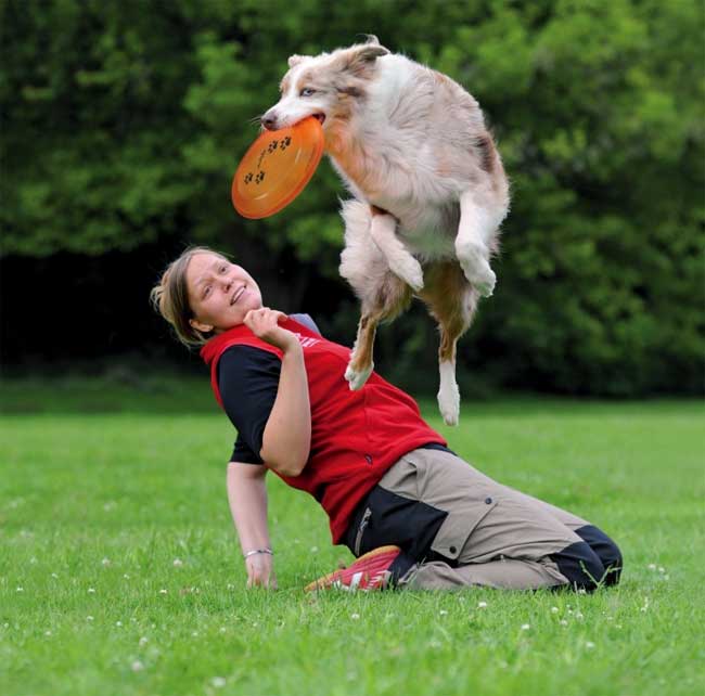 Frizbi za pse Trixie 33562 - dodatni pogled