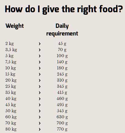 Happy Dog Hrana za pse Naturcroq - jagnjetina i pirinač - pakovanje 15kg + 2kg GRATIS - dodatni pogled