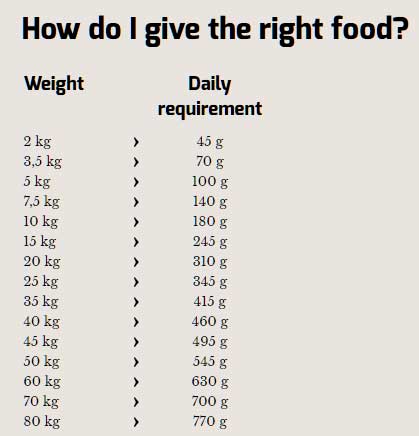 Happy Dog Hrana za pse Naturcroq - govedina i pirinač - pakovanje 15kg + 2kg GRATIS - dodatni pogled