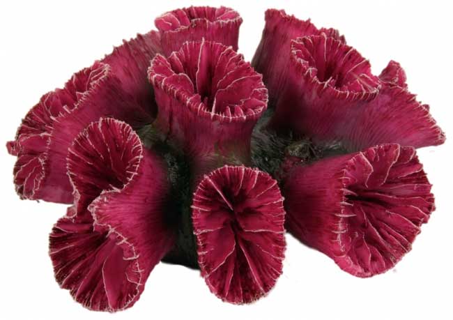 Trixie Dekoracija za akvarijum Set korala 8809 - dodatni pogled