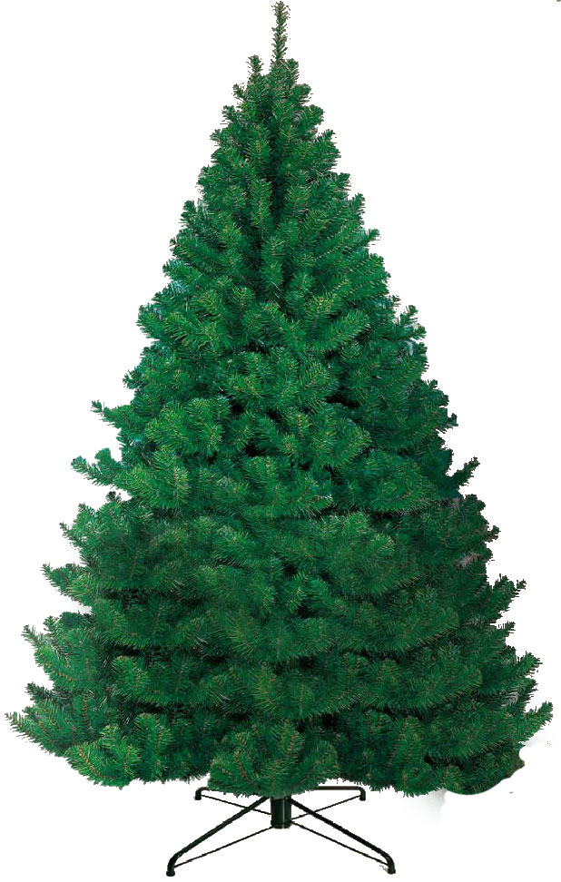 Jelka 200 cm Zar Della Steppa - dodatni pogled