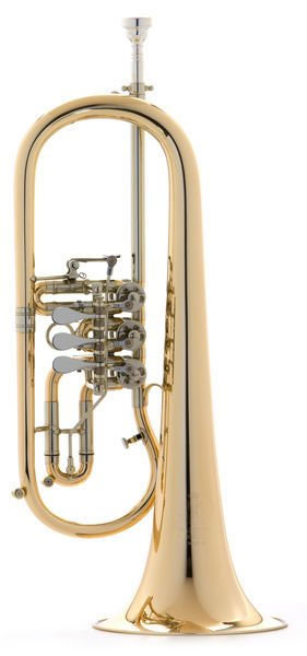 Lyra Flugelhorna FH100 - dodatni pogled