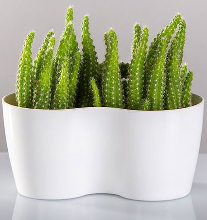 Saksija sa magnetom za malo cveće Magnetika Twin ljubičasta - dodatni pogled