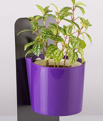 Saksija sa magnetom za malo cveće Magnetika 9 bež - dodatni pogled