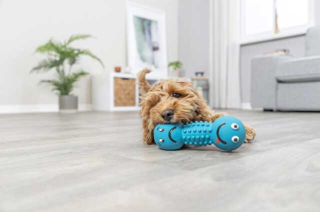 Igračka za psa teg Smajli od lateksa sa zvukom 19cm Trixie 35251 - dodatni pogled