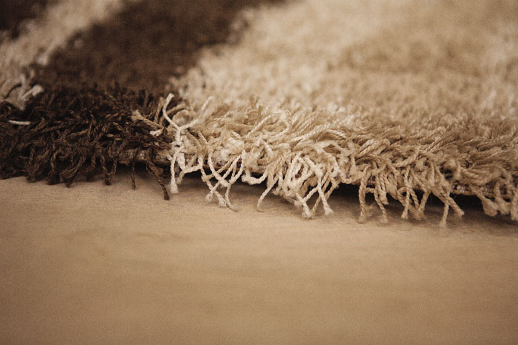 Tepih Ekol Shaggy 25 PS 03 Beige 120x170 cm - dodatni pogled