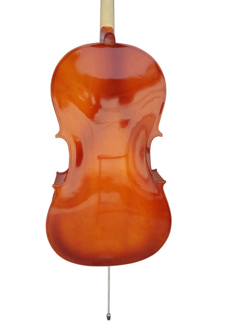 Violončelo Moller 1/4-1/2 1164 - dodatni pogled