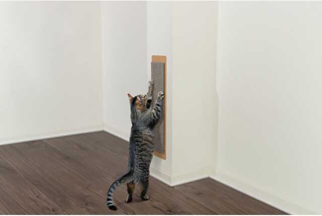Zidna grebalica za mačke sa macinom travom, siva Trixie 43182 - dodatni pogled