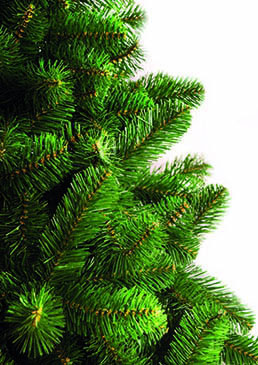 NOVOGODIŠNJA JELKA NORWAY SPRUCE - 210 cm - dodatni pogled